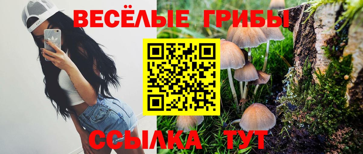 Нововоронеж  Псилоцибиновые грибы Psilocybine cubensis  Вход с VPN 